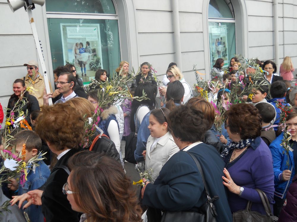 domenica-palme-1-04-2012-00017