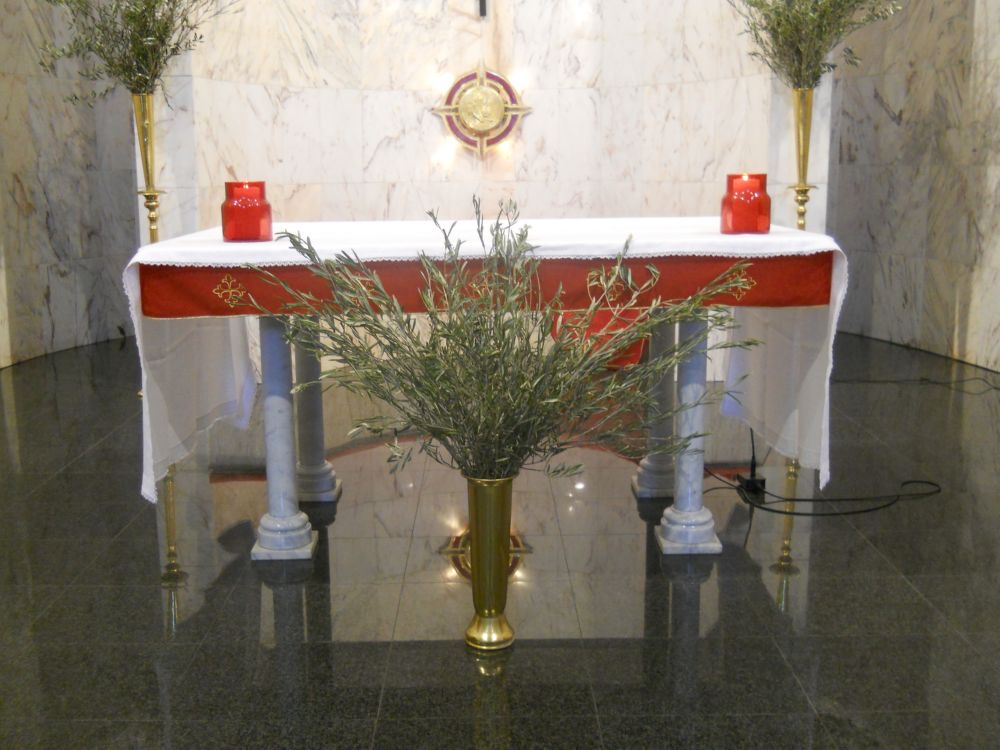 domenica-palme-1-04-2012-00083