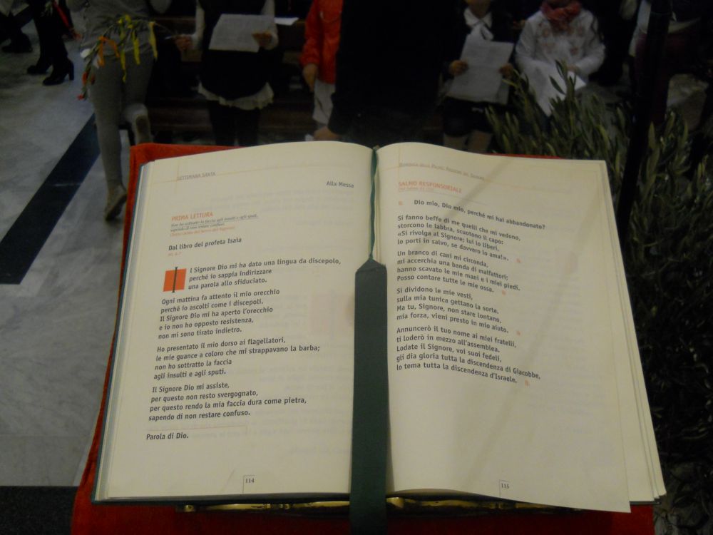 domenica-palme-1-04-2012-00085