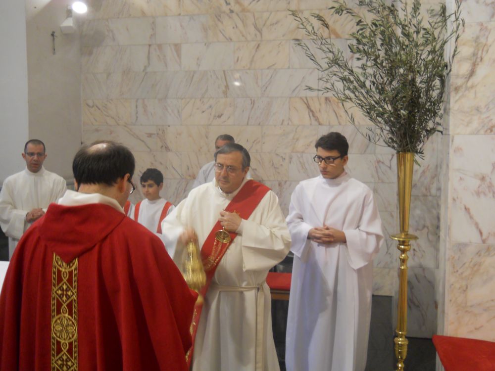 domenica-palme-1-04-2012-00114