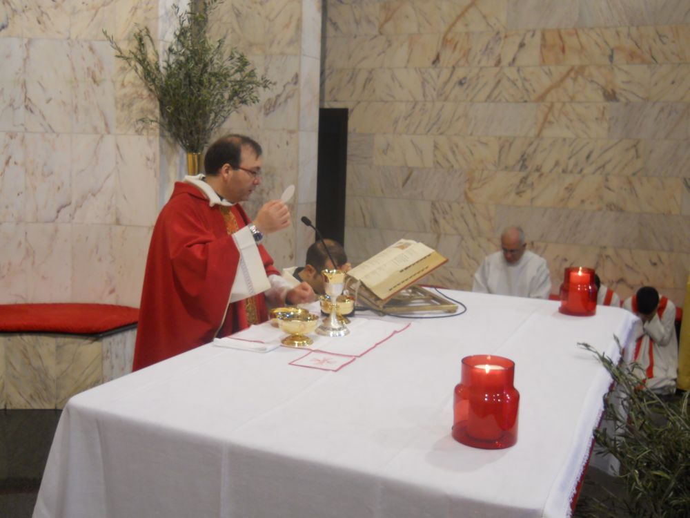 domenica-palme-1-04-2012-00122