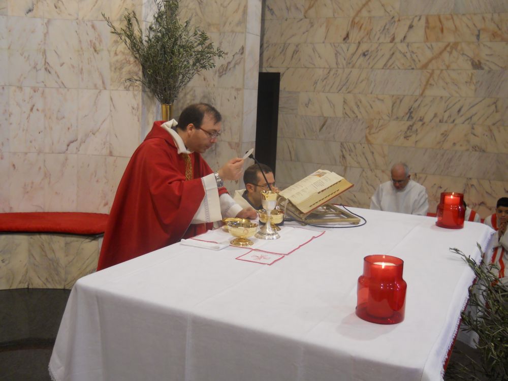 domenica-palme-1-04-2012-00123