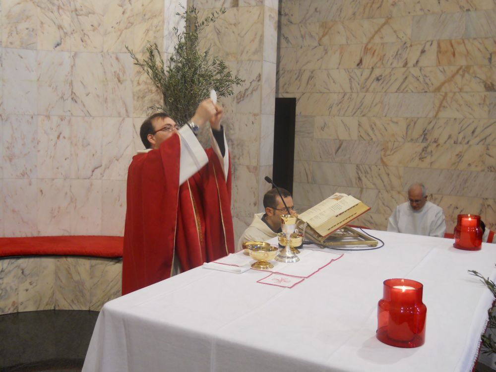 domenica-palme-1-04-2012-00124