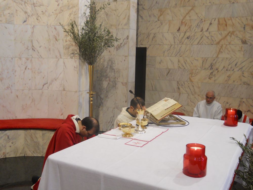domenica-palme-1-04-2012-00128