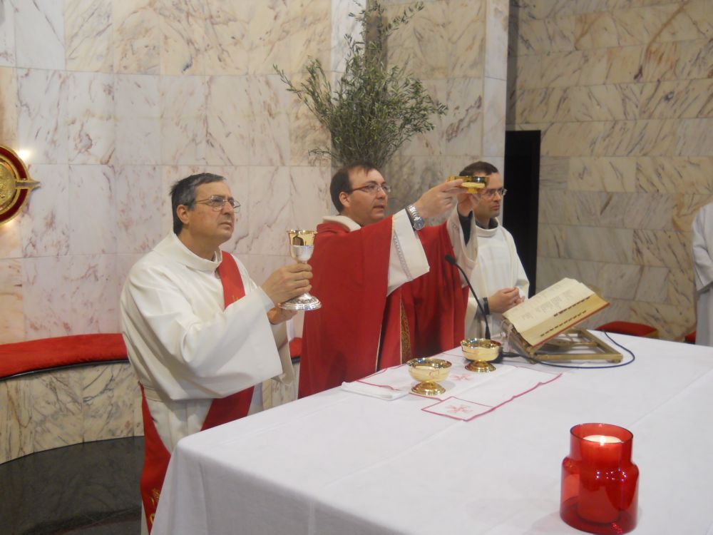 domenica-palme-1-04-2012-00130