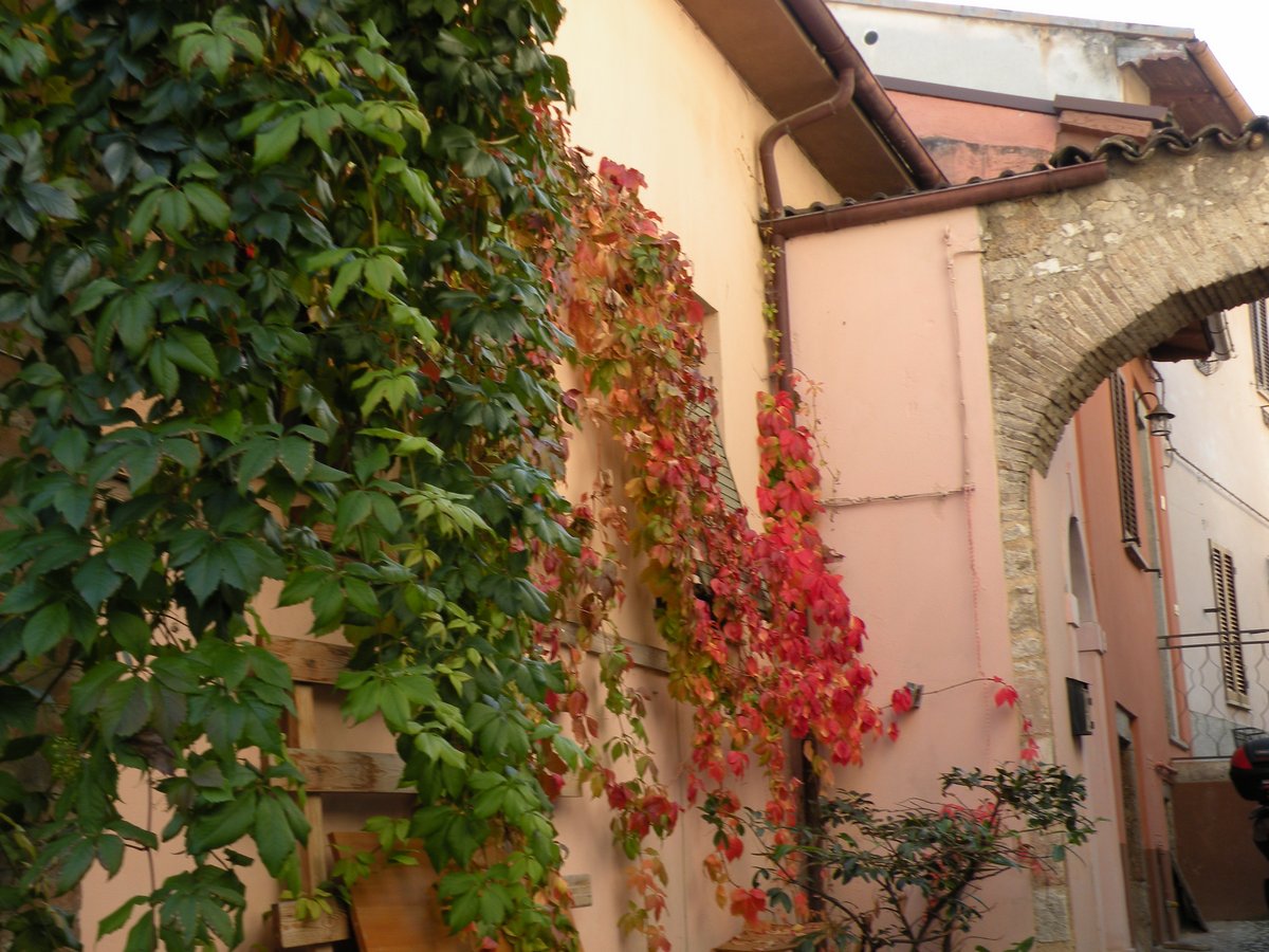 2012-assisi-cascia-00023.JPG