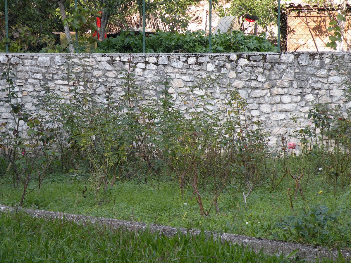 2012-assisi-cascia-00106.JPG