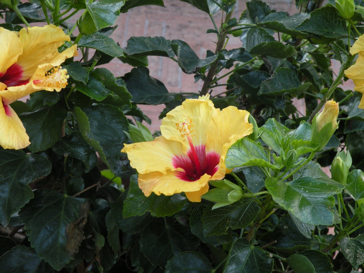 2012-assisi-cascia-00181.JPG
