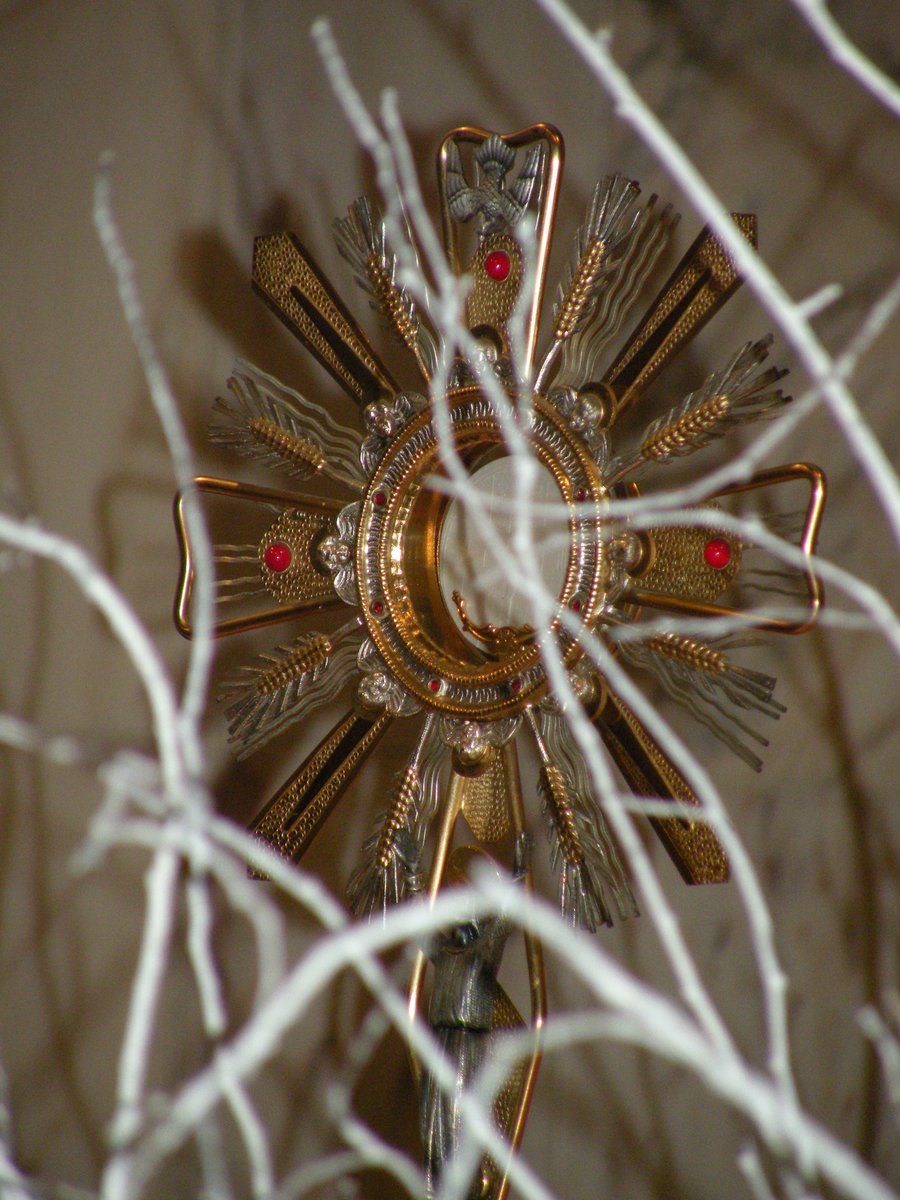 11-04-2013-missione-popolare-00014.JPG