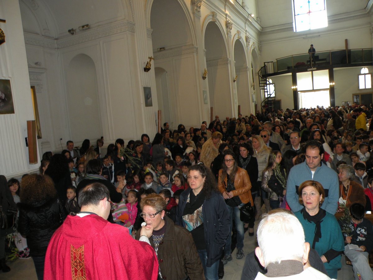 palme-24-03-2013-00134.JPG