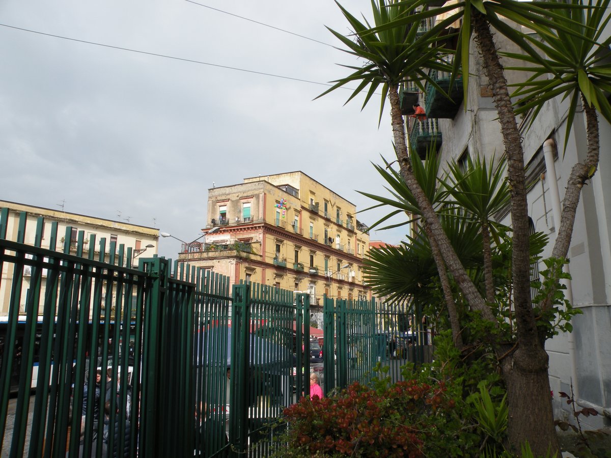 13-04-2014-palme-00061.JPG