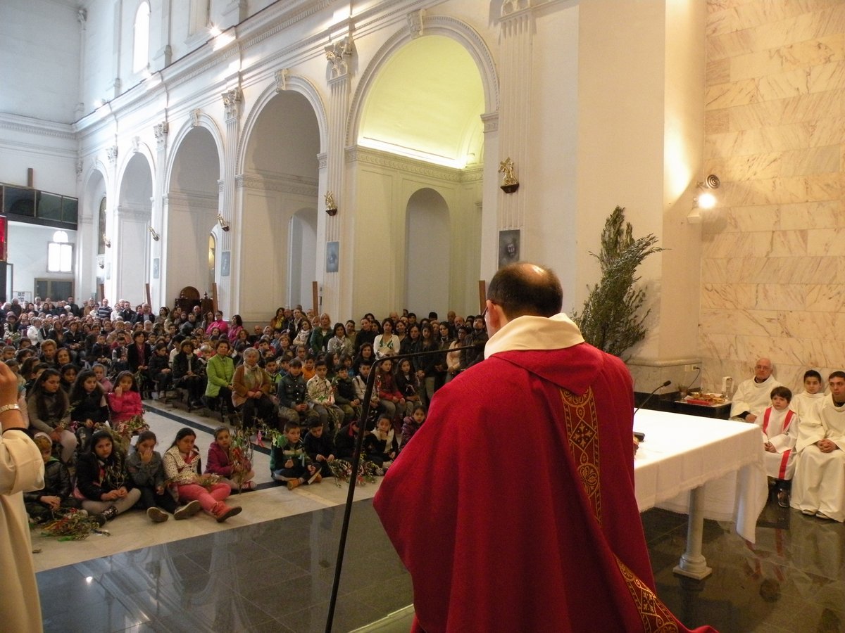 13-04-2014-palme-00099.JPG