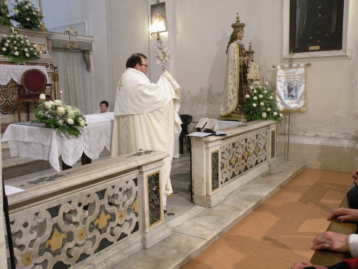 31-05-2014-pellegrinaggio-00042.JPG